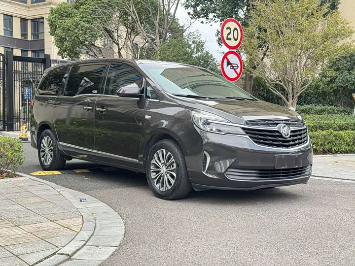 Фото 3 - Buick GL8 ES