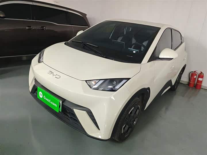 Фото 1 - BYD Seagull