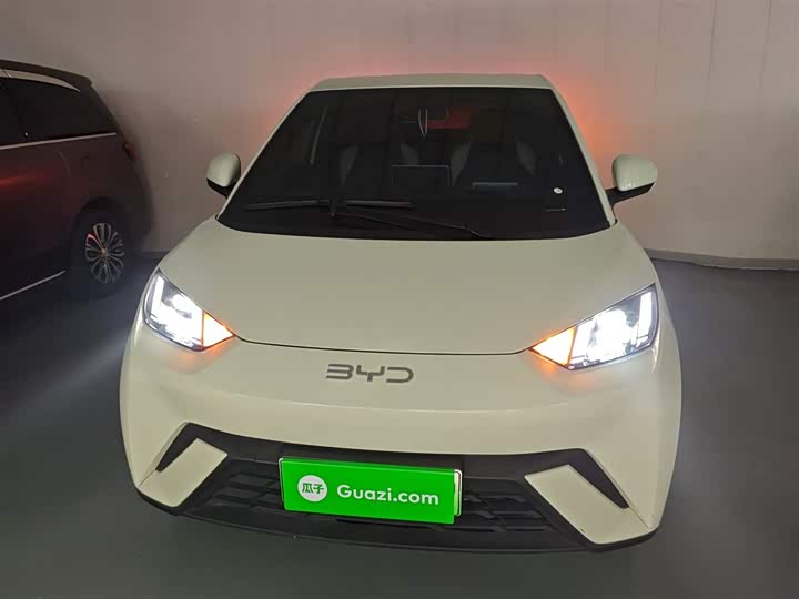 Фото 3 - BYD Seagull