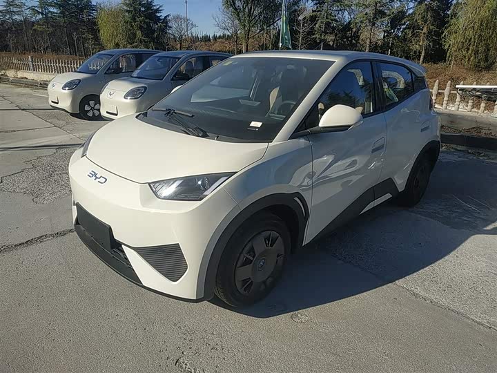 Фото 2 - BYD Seagull