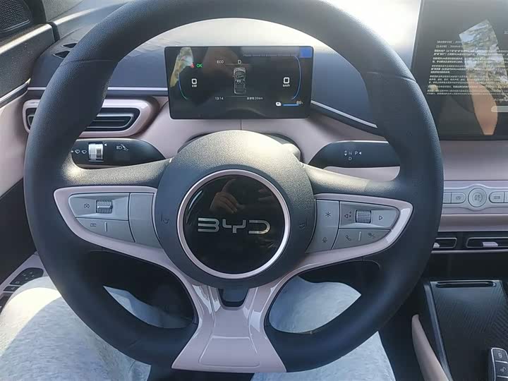 Фото 3 - BYD Seagull