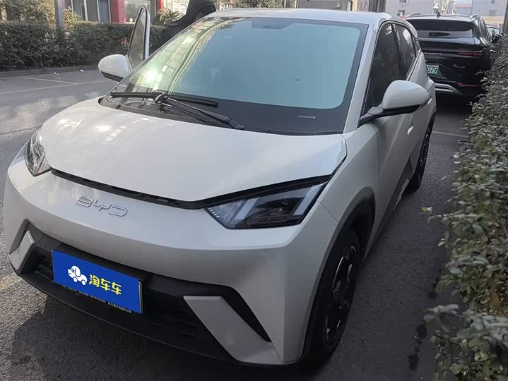 Фото 1 - BYD Seagull