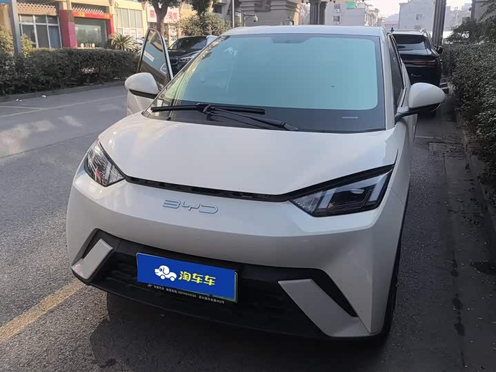 Фото 2 - BYD Seagull