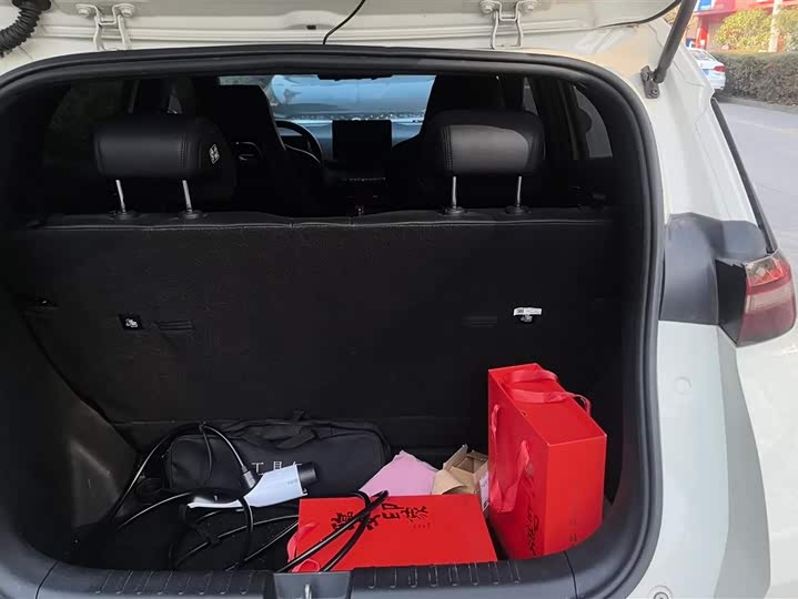 Фото 4 - BYD Seagull