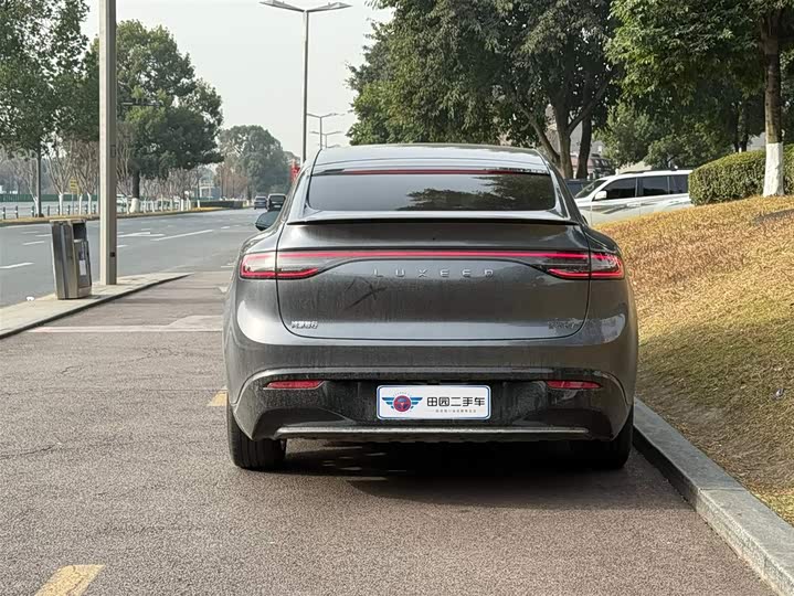 Фото 4 - Luxeed R7