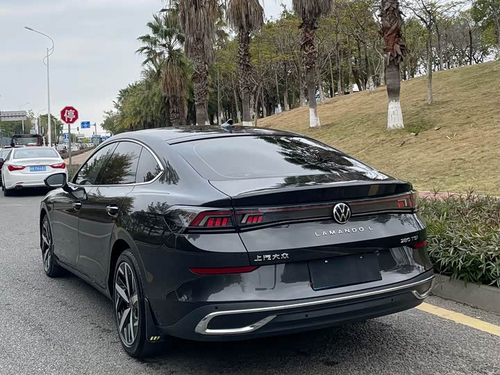 Фото 4 - Volkswagen Lamando L