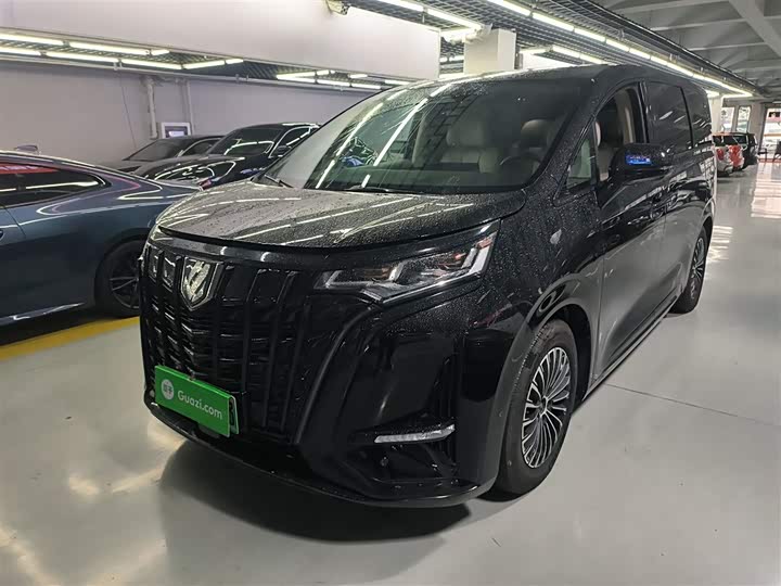 Фото 2 - Denza D9