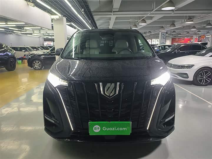 Фото 3 - Denza D9