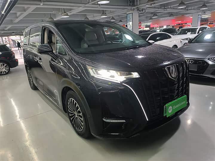 Фото 4 - Denza D9