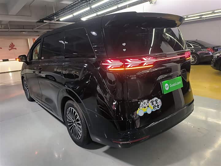 Фото 5 - Denza D9