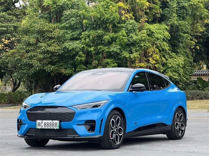 Фото 1 - Ford Mustang Mach-E