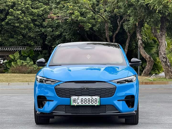 Фото 2 - Ford Mustang Mach-E