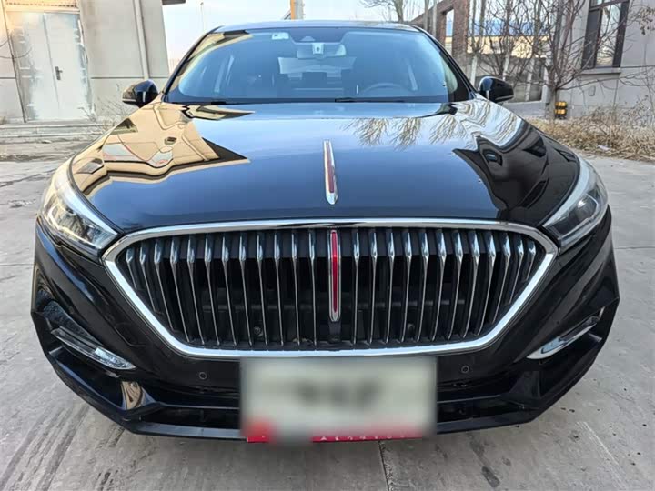 Фото 6 - Hongqi H5