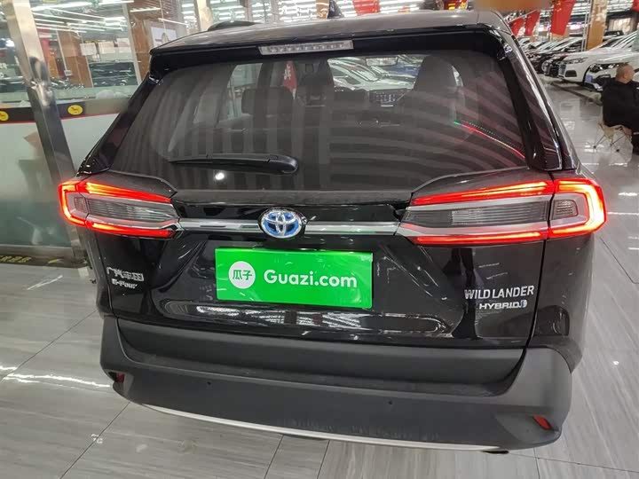 Фото 6 - Toyota Wildlander