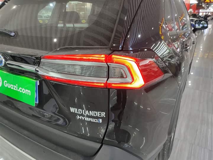 Фото 8 - Toyota Wildlander