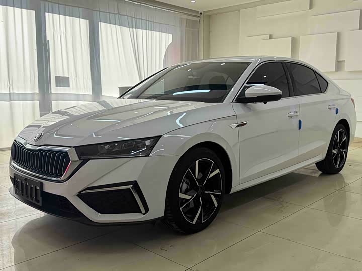 Фото 1 - Skoda Octavia Pro