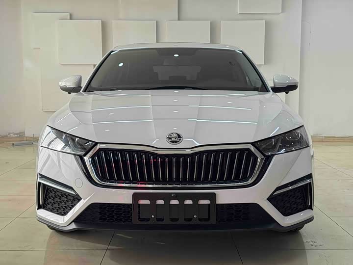 Фото 2 - Skoda Octavia Pro