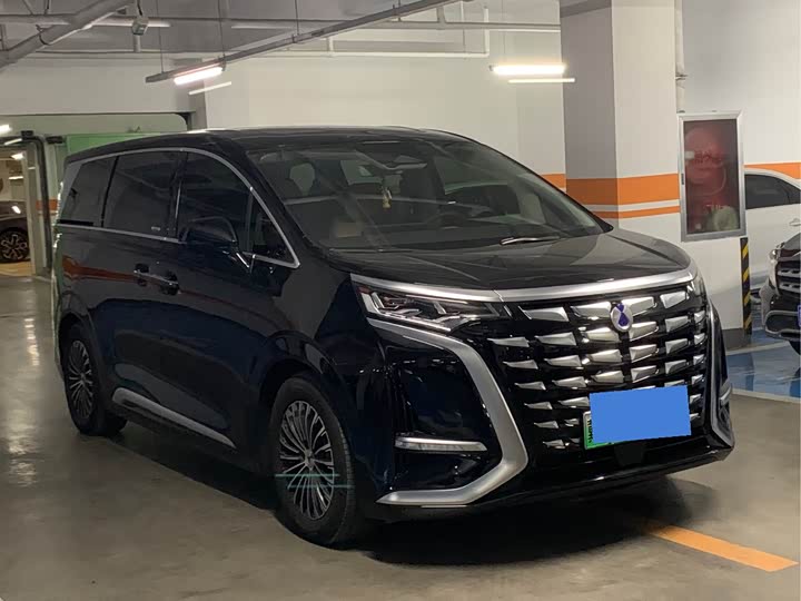 Фото 3 - Denza D9