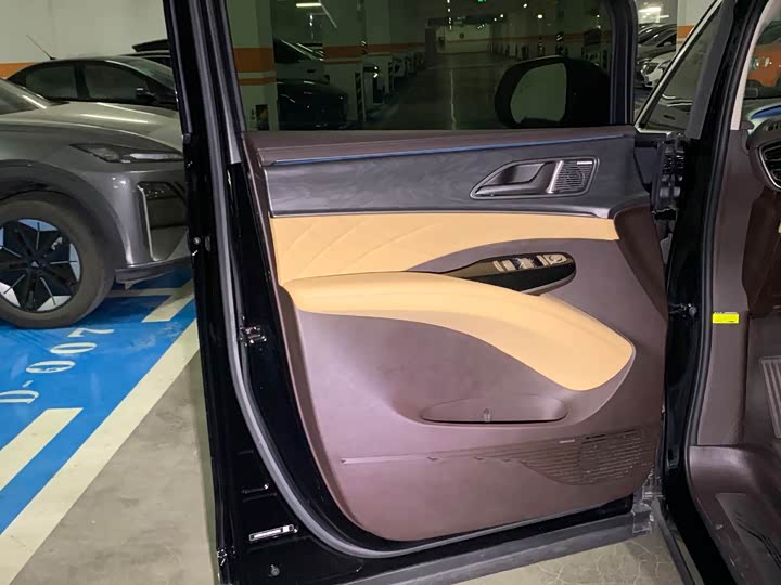 Фото 8 - Denza D9