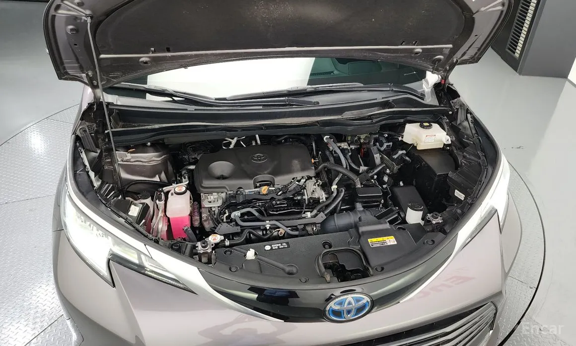 Фото 6 - Toyota Sienna