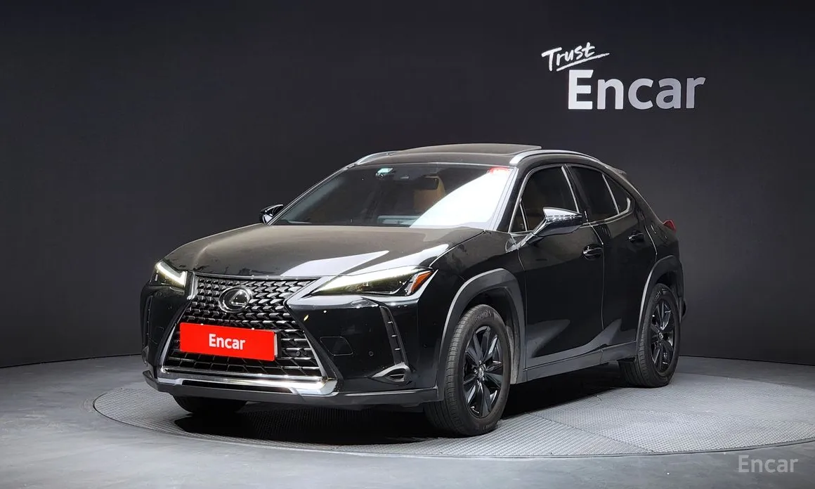 Фото 1 - Lexus UX