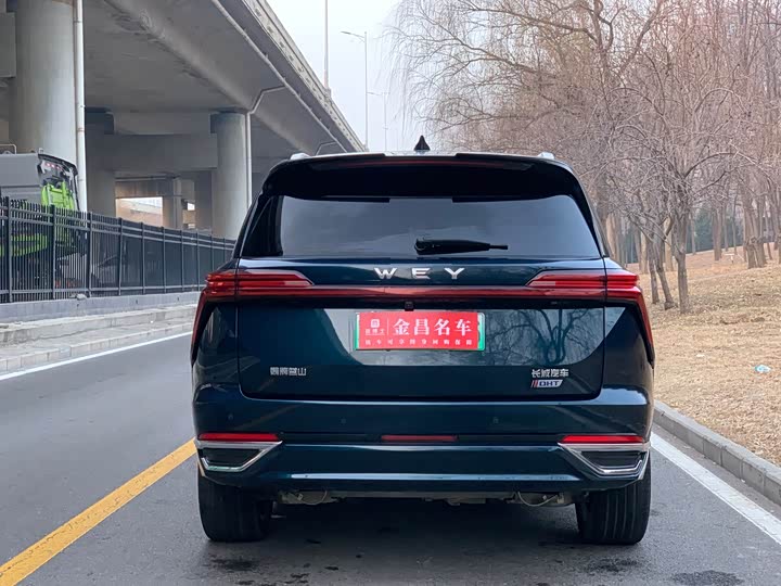 Фото 4 - Wey Lanshan