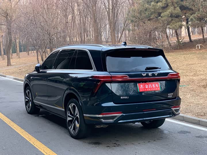 Фото 5 - Wey Lanshan