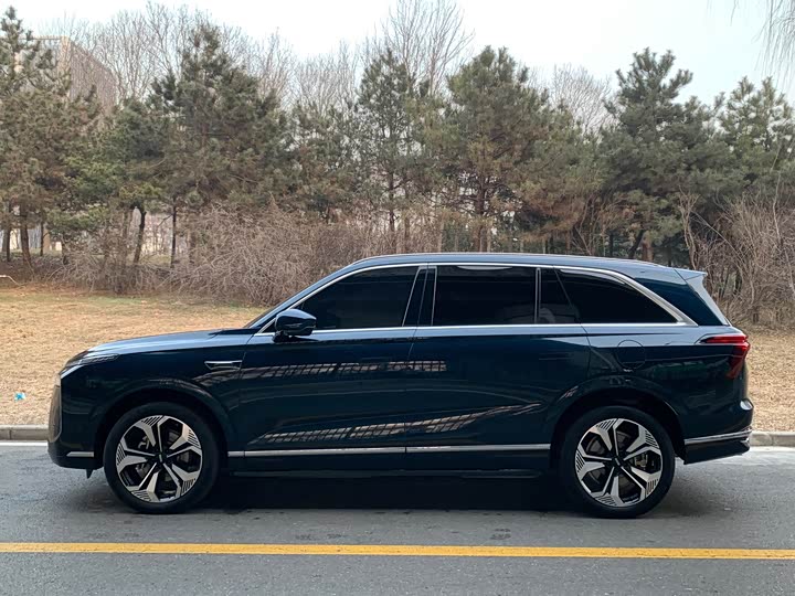 Фото 6 - Wey Lanshan