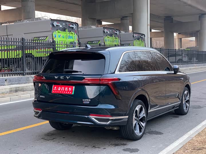 Фото 7 - Wey Lanshan