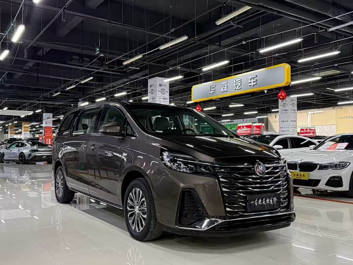 Фото 3 - Buick GL8 ES