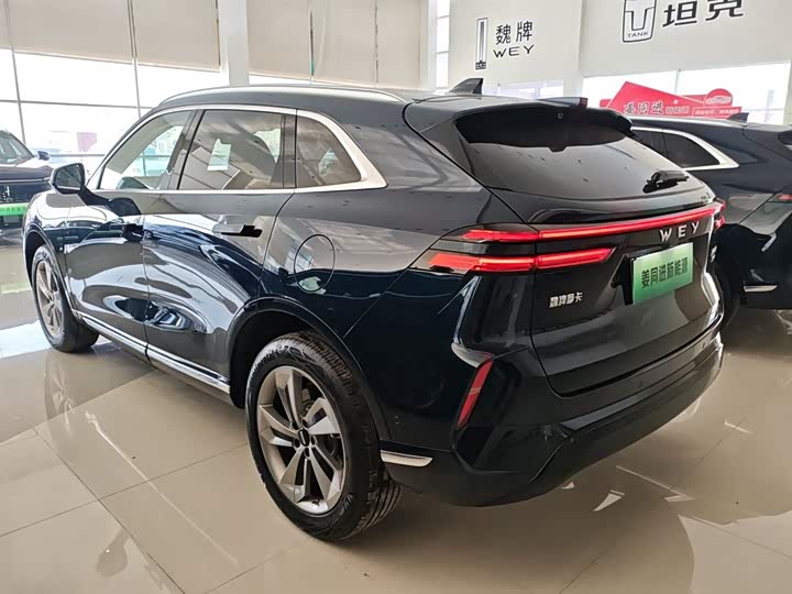 Фото 5 - Wey Mocca Hybrid