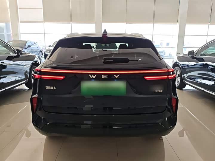 Фото 6 - Wey Mocca Hybrid