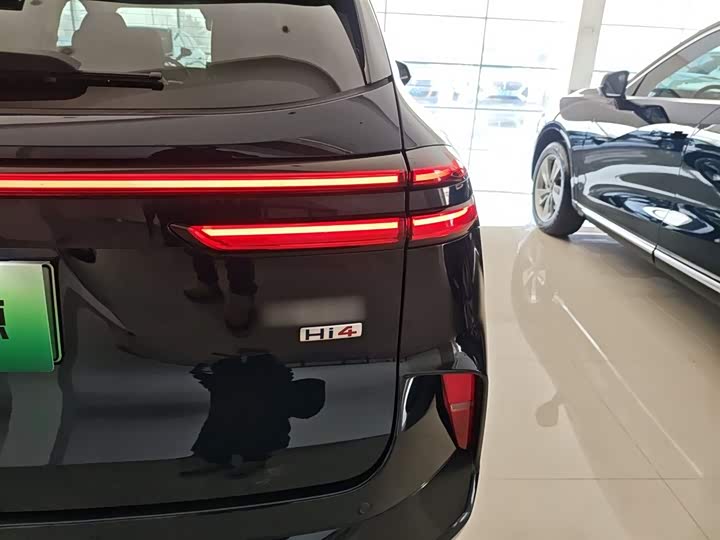 Фото 8 - Wey Mocca Hybrid