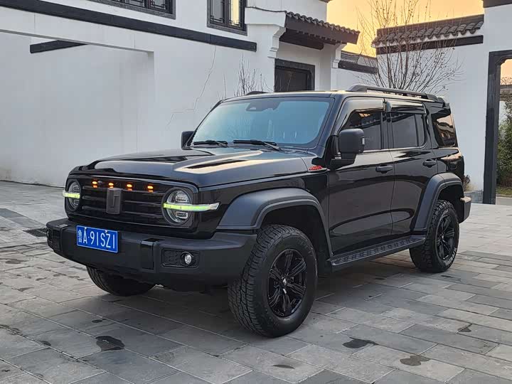 Фото 1 - Tank 300