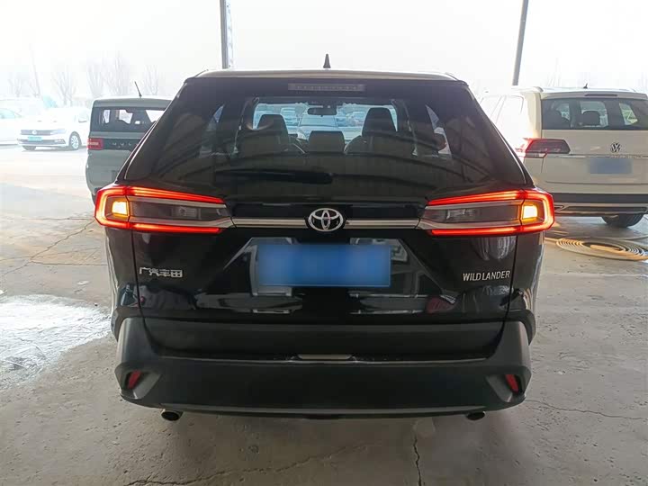 Фото 6 - Toyota Wildlander