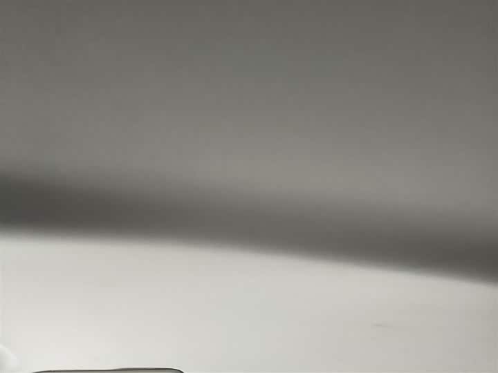 Фото 9 - Roewe Clever