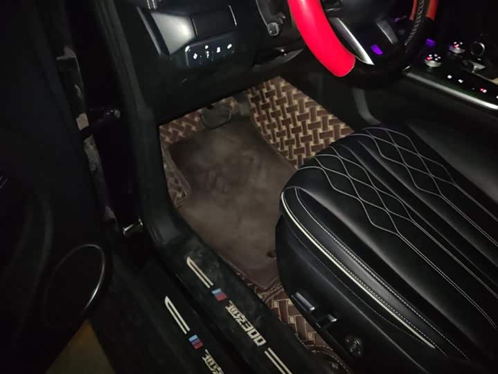 Фото 9 - Tank 300