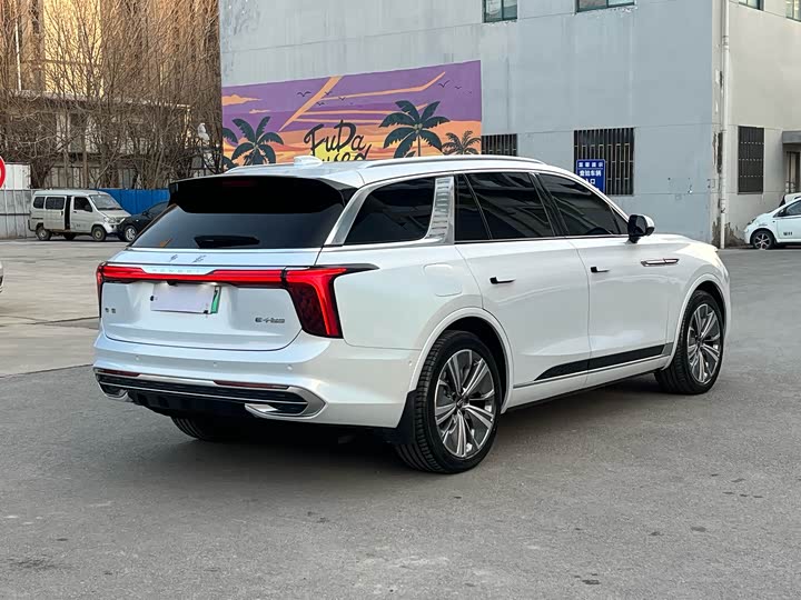 Фото 6 - Hongqi E-HS9