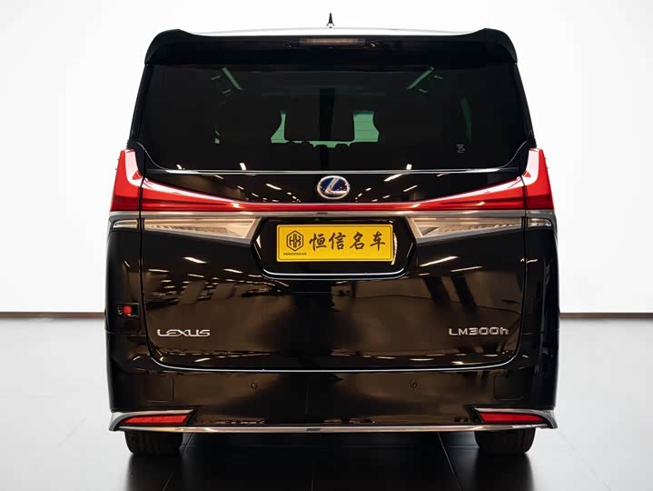 Фото 4 - Lexus LM