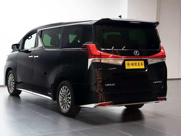 Фото 5 - Lexus LM