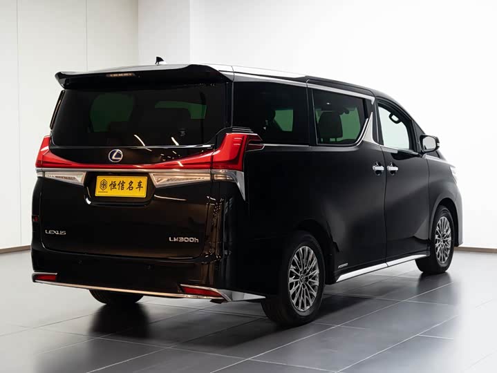 Фото 6 - Lexus LM