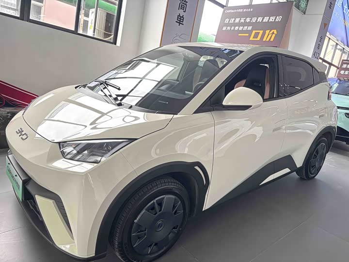 Фото 1 - BYD Seagull