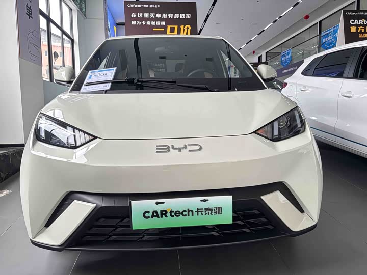 Фото 2 - BYD Seagull