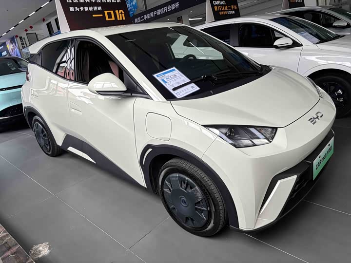 Фото 3 - BYD Seagull