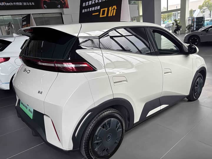 Фото 4 - BYD Seagull