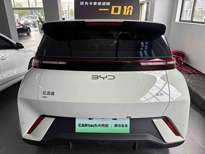 Фото 5 - BYD Seagull