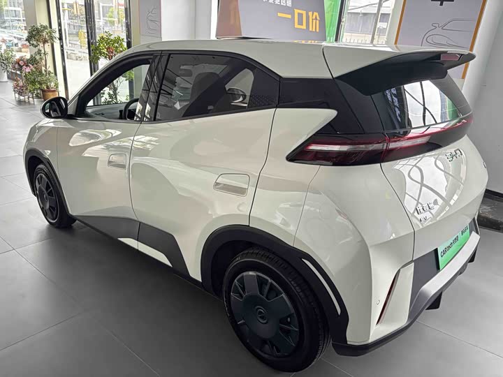 Фото 6 - BYD Seagull