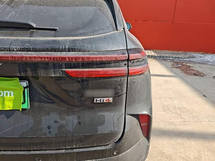 Фото 8 - Wey Mocca Hybrid