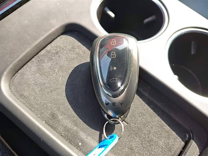 Фото 9 - Wey Mocca Hybrid