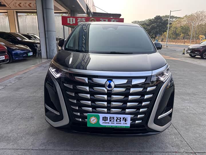 Фото 2 - Denza D9